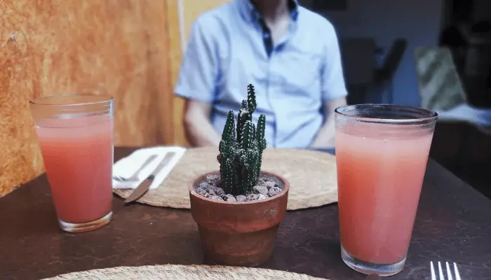How to Make Cactus Juice