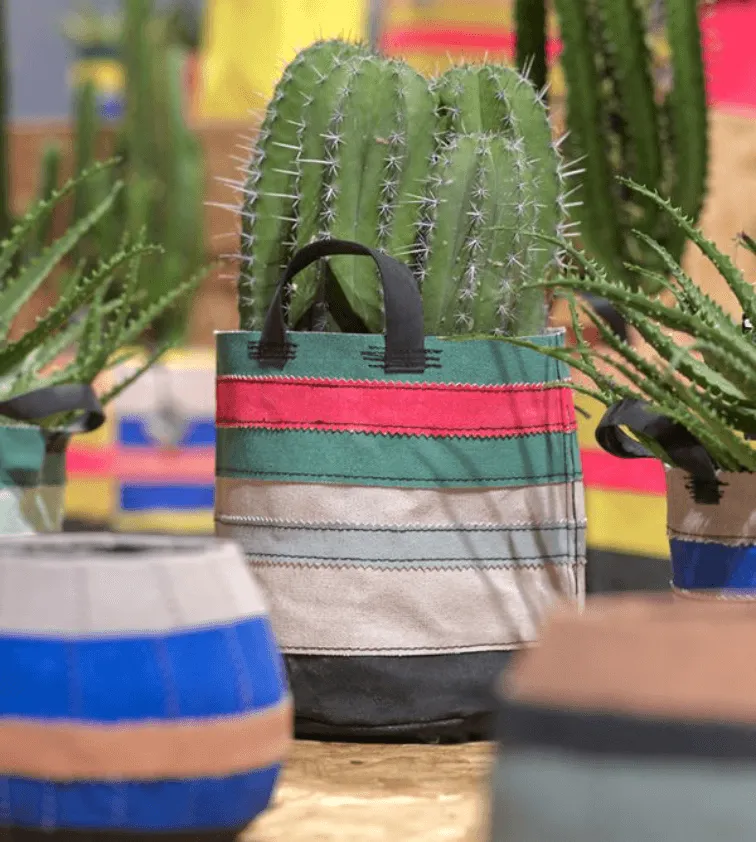 cactus Grow bags