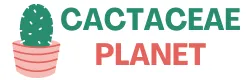 Cactaceae Planet